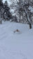 2026_Skitourenreise Powderdream in Japan7